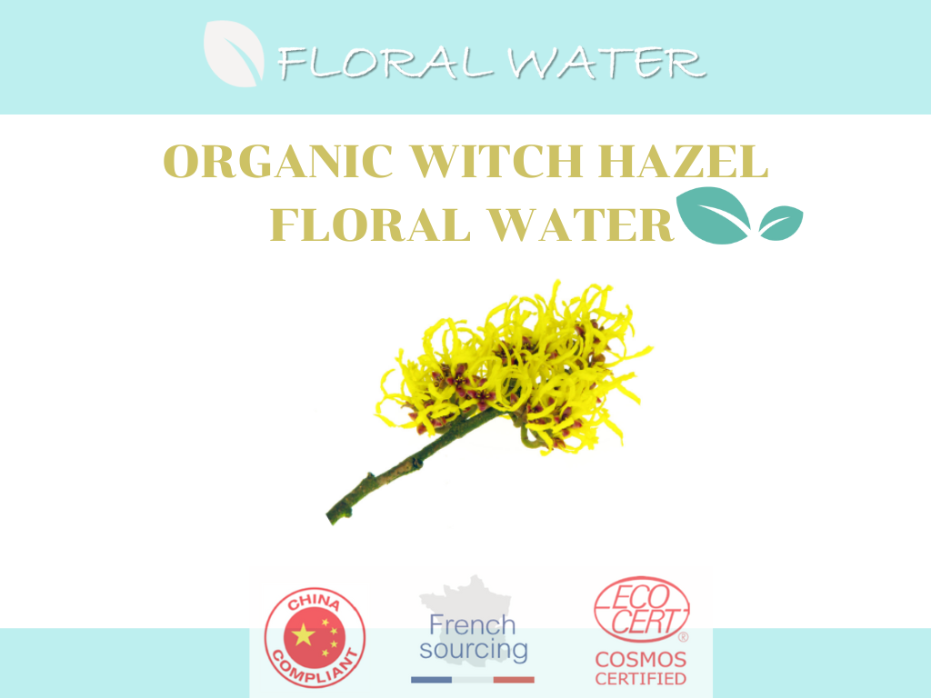 Organic Witch Hazel Floral Water น้ำสกัดจากใบวิชฮาเซล (Witch hazel) ธรรมชาติ100% กระชับรูขุมขน ลดความมันบนใบหน้า 